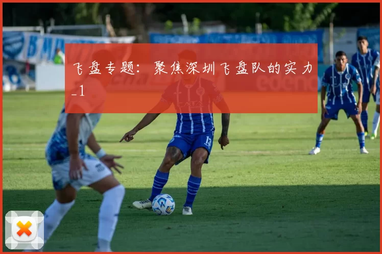 飞盘专题：聚焦深圳飞盘队的实力_1