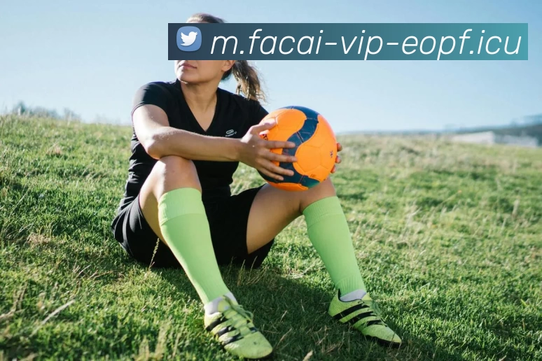 爱游戏体育注册品牌故事